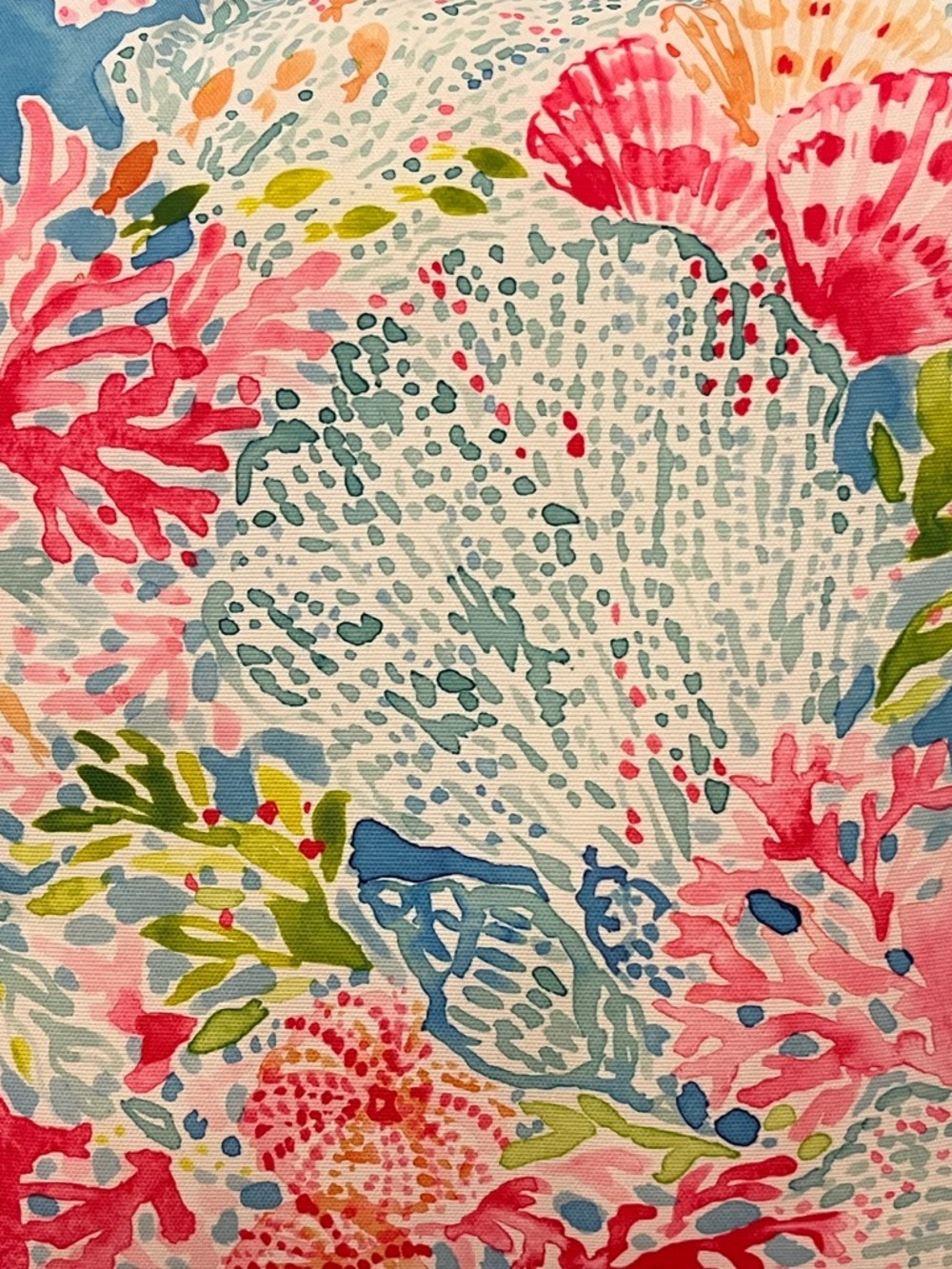 EUC Lilly Pulitzer Pillow - Picture 6 of 6